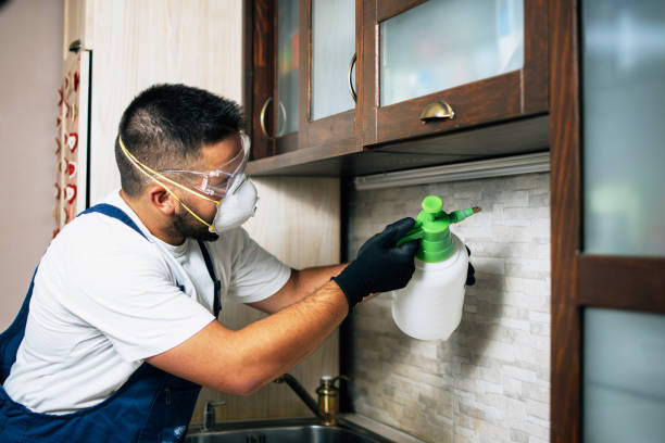 Best Pest Control for Restaurants  in Forked River, NJ