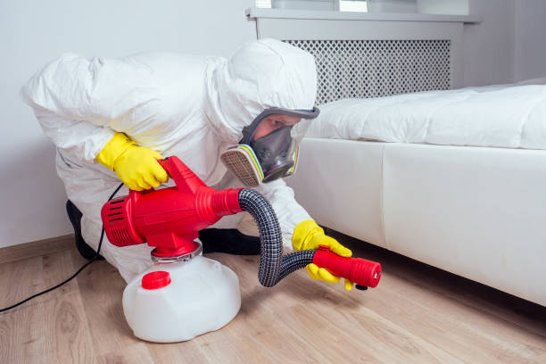 Best Pest Control Treatment  in Forked River, NJ