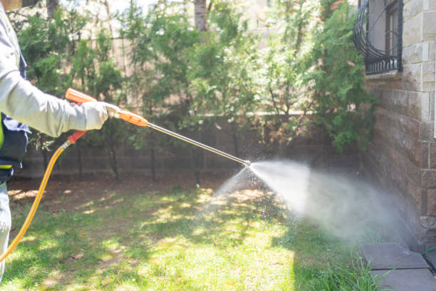 Best Bird Control  in Forked River, NJ