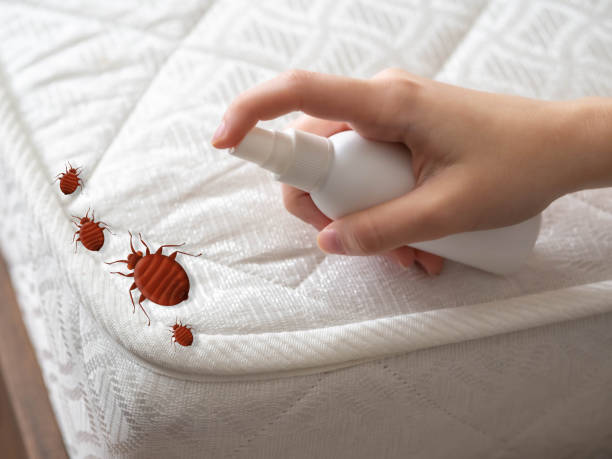Best Best Pest Control Companies  in Forked River, NJ