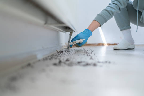 Best Wildlife Control Services  in Forked River, NJ